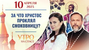 ЗА ЧТО ХРИСТОС ПРОКЛЯЛ СМОКОВНИЦУ? УТРО НА СПАСЕ