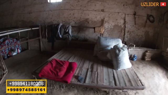 МОЛ БОКИШ УЧУН  КУЛАЙ МОЛ ФЕРМА СОТИЛАДИ
