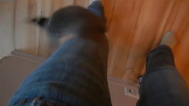 Белка Норка. Демо версия. смотреть онлайн