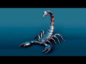 КАКИЕ БОЛЕЗНИ СКОРПИОНА МОГУТ НАПАСТЬ И НА ВАШ ОРГАНИЗМ С 24 ОКТЯБРЯ ПО 21 НОЯБРЯ ? СМОТРЕТЬ ВСЕМ.