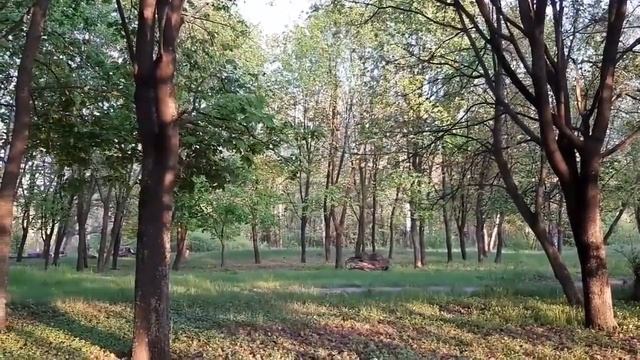 Звезда Давида - это Есмь печать Любви Моей смотреть онлайн