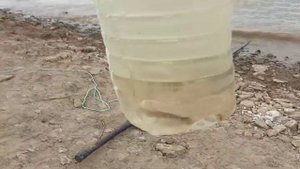 Рыбалка на экран (телевизор) весной 2021.