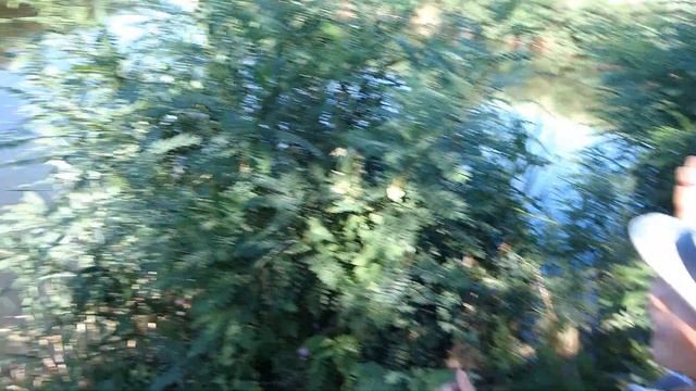 Пикник + рыбалка .Красота и отдых смотреть онлайн