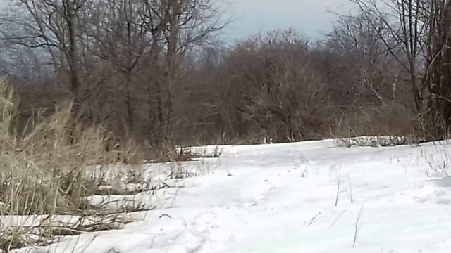 Hatsan 125 TH Стрельба с 70 метров смотреть онлайн