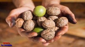 Кому НЕЛЬЗЯ Есть ГРЕЦКИЕ ОРЕХИ? Это ДОЛЖЕН Знать КАЖДЫЙ!!!