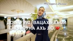 Мадина Домбаева Сан дог