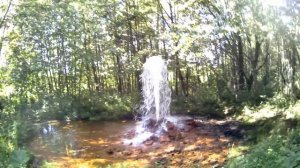 Фонтан в лесу