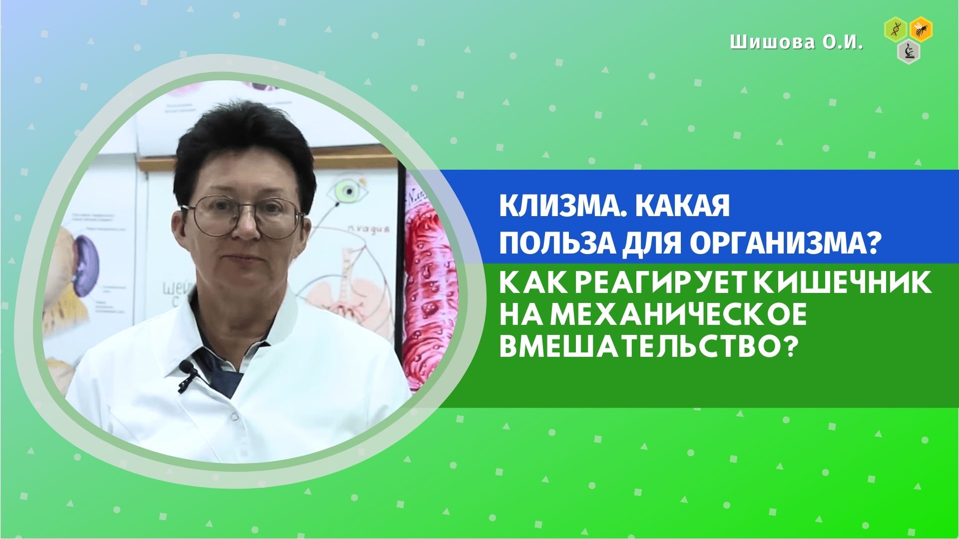 Целиус интернет магазин шишова каталог с ценами