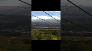 VID20221015095446.mp4