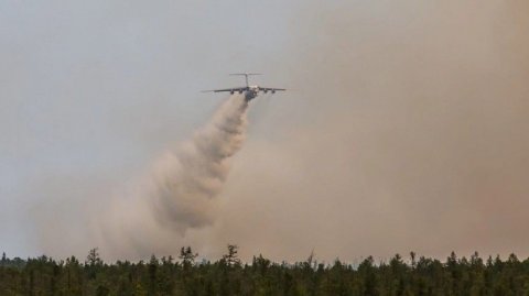 Названа причина лесных пожаров в Рязанской области