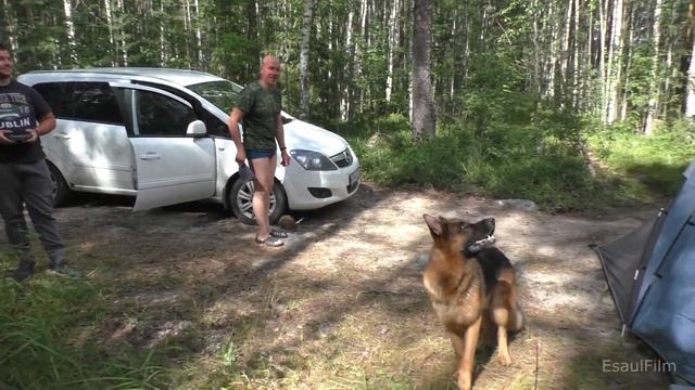 Карелия 2022 , одиннадцатая часть , Спортивная смотреть онлайн