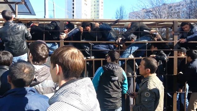 Федеральная миграционная служба России - Кошмар