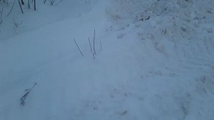 Каракат идёт по снегу, первый выезд.