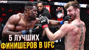 5 Лучших финишеров UFC на данный момент!