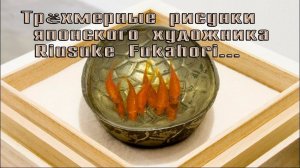 Трёхмерные рисунки японского художника Riusuke Fukahori*