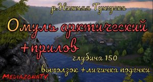 #рр4 р.Нижняя Тунгуска Омуль арктический + прилов.20.09