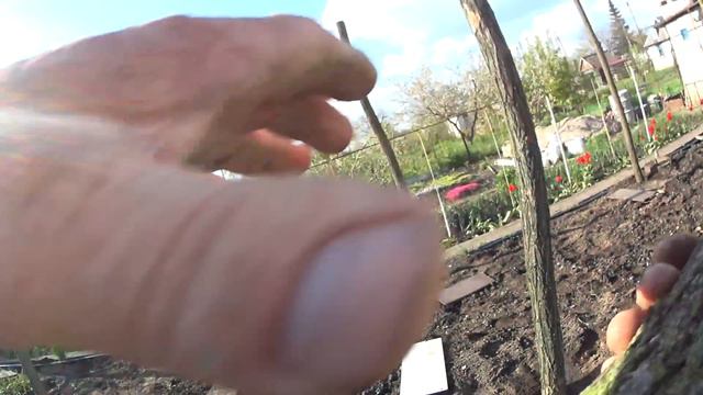 СТАВИМ СТОЛБЫ ДЛЯ ТЕПЛИЦЫ . смотреть онлайн