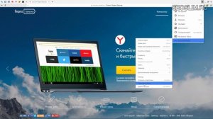 Как узнать версию браузера Яндекс, Internet Explorer, Mozilla Firefox, Google Chrome, Opera, Amigo