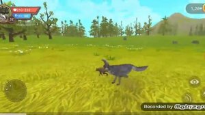 Как взять добычу в Wildcraft