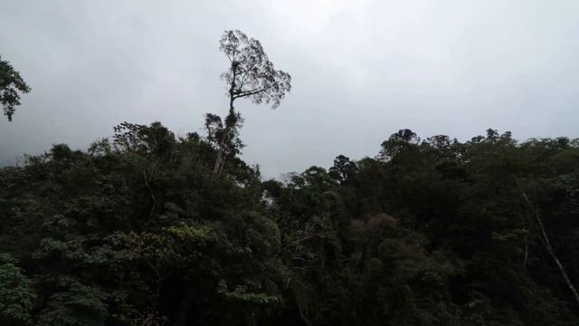 Violões Cort, Cajon e chocalho, na Estrada Rio-Teresópolis: Santinha, Soberbo e Praça Nilo Peçanha смотреть онлайн