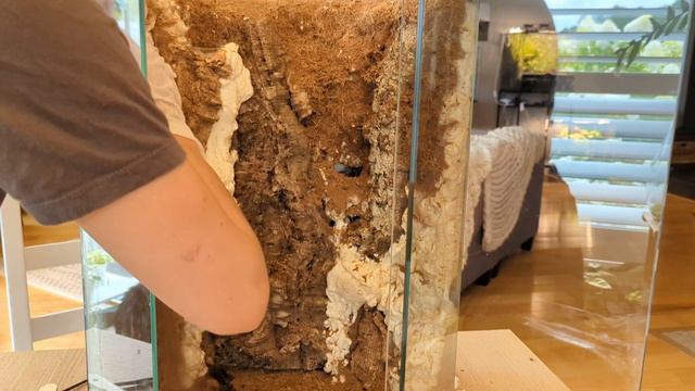 Vivarium upgrade | don't make the mistakes I did смотреть онлайн