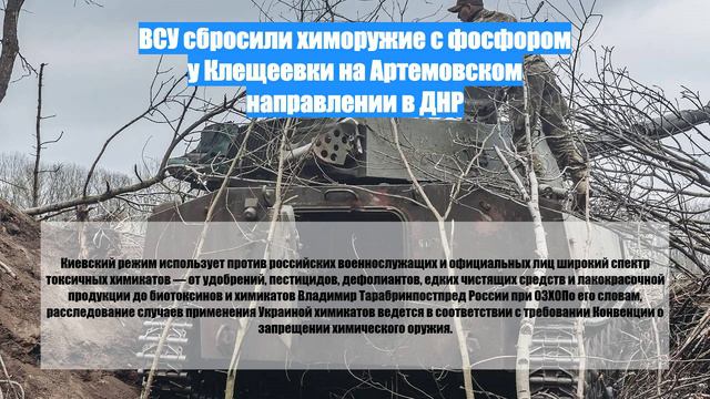 ВСУ сбросили химоружие с фосфором у Клещеевки на Артемовском направлении в ДНР