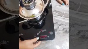 Индукционная плита от Цептер.