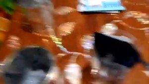 Семена огурцов Юлиан F1 проросли. Надо сажать. Этот сорт практически не поражают различные вредител