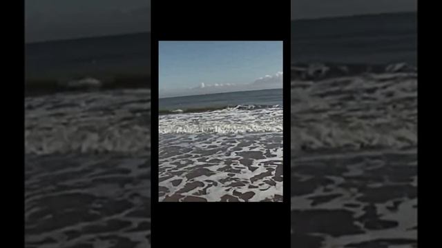 Звук волн у берега, крик чаек, шум моря