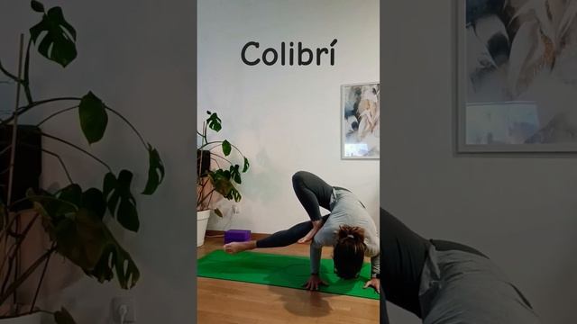 Colibrí ? #yogapose #equilibrio #yogaencasa