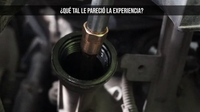 TOYOTA FJ CRUISER - MM + AE смотреть онлайн