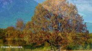 Антон ушёл к любовнице, а через время решил вернуться обратно к жене, но открыв дверь он замер...