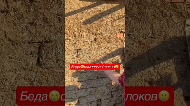 Беда саманных блоков, это постоянная усадка блока? #продаетсядомнаюге #арболит #арболитюг