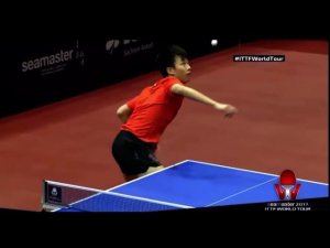 Timo Boll и Patrick Franziska вокруг сетки