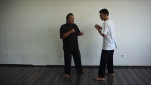 "Трепать противника как собака тряпку". Боевые секреты Минхэ-цюань.