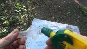 Пчёлы (Какой способ лучше? Обработка пчёл от клеща, шприцом, отверстием в бутылке или росинкой.)