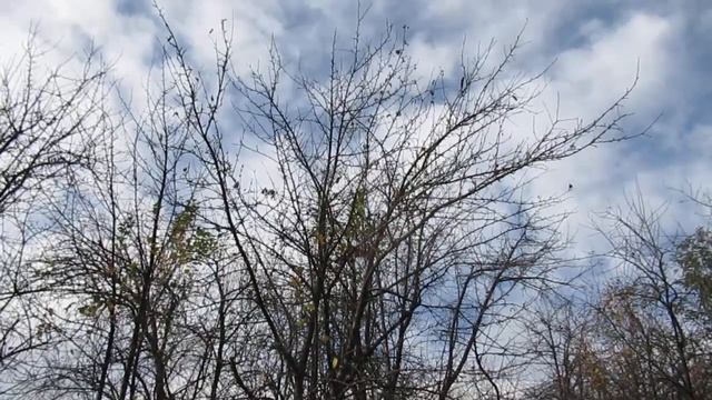 Портится погодка! смотреть онлайн