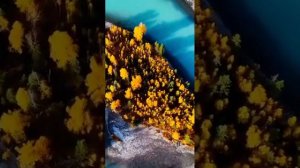 Красота мира с высоты 💓🌈🔥❤️🔥💥

#красотамира #мирвокруг #свысоты #видсверху