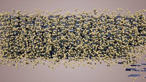 Кальцемин. Вторая версия. Женский/мужской голос.