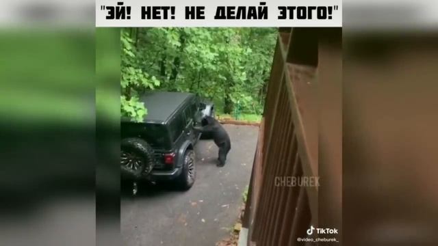 ПРИКОЛЫ ИЗ ТИК ТОК #30 ?Лучшая подборка приколов 2020 ЧУДИКИ ИЗ ТИК ТОК 2020 Приколы 2020