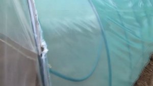 Огуречная теплица из ПНД трубы