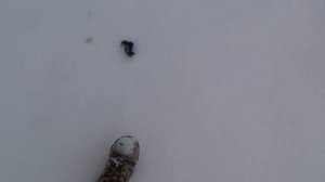 ТЕСТ СТРАЙКБОЛЬНЫХ ГРАНАТ. ВЗРЫВЫ ПЕТАРД. ВЗРЫВАЕМ ГРАНАТЫ. ВЗРВЫ НА ЛЬДУ. FIRECRACKERS