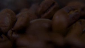 Кофемолка/мини-измельчитель Pioneer CG230