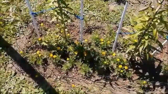 Влог/Выходные на даче/ Лопатинское озеро/Наконец то открыла пляжный сезон!/ смотреть онлайн