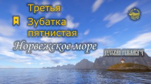 ✮ Норвежское море ✮ Третья Трофейная Зубатка пятнистая ✮