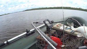 рыбалка на ОКЕ , ВЛАДИМИРСКАЯ область