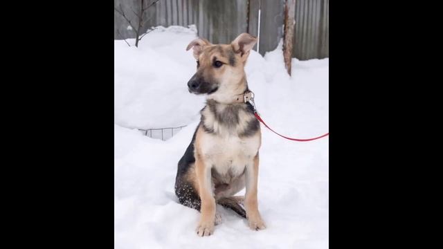 Веня впечатлительный ,но в то же время спокойный смотреть онлайн