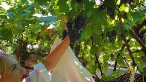 Moldova, Молдова