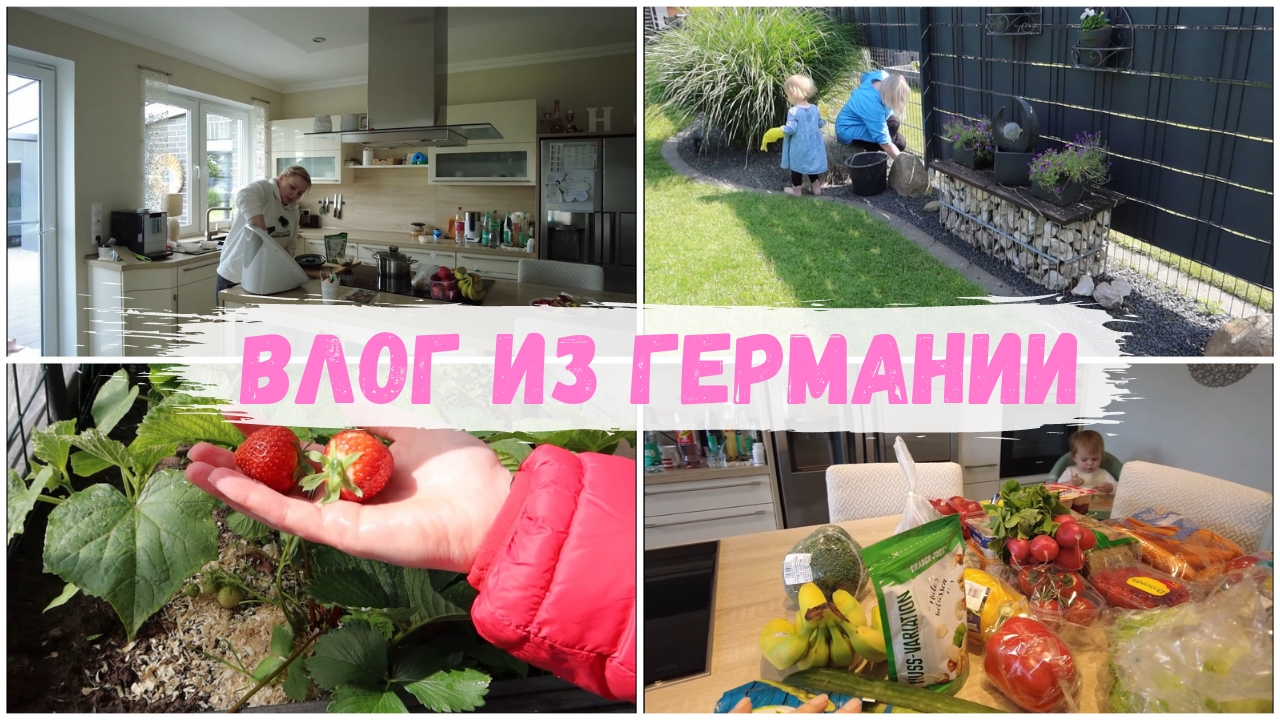 VLOG??: в магазин за продуктами/ собираем свой урожай?будни мамы в декрете