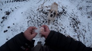 Один  единственный .